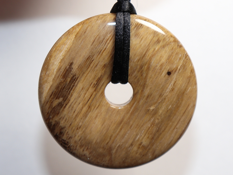 versteinertes Holz mit Band