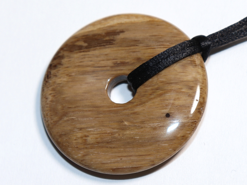 versteinertes Holz mit Band