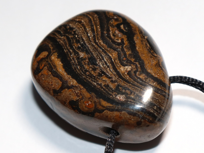 Stromatolith mit Band oder Silber 925