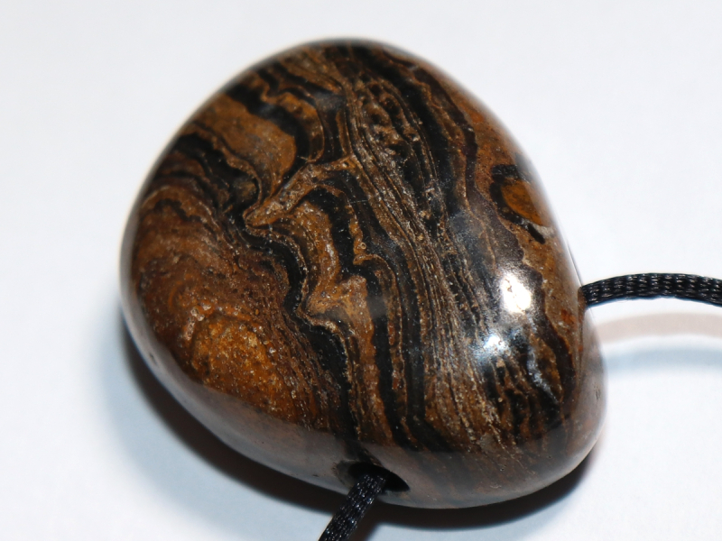 Stromatolith mit Band oder Silber 925