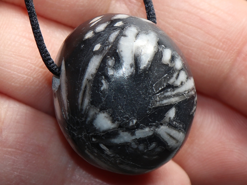 chrysanthemum stone with cord or silver 925