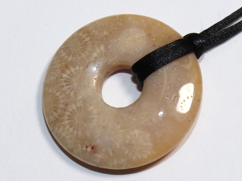 versteinerte Koralle mit Band