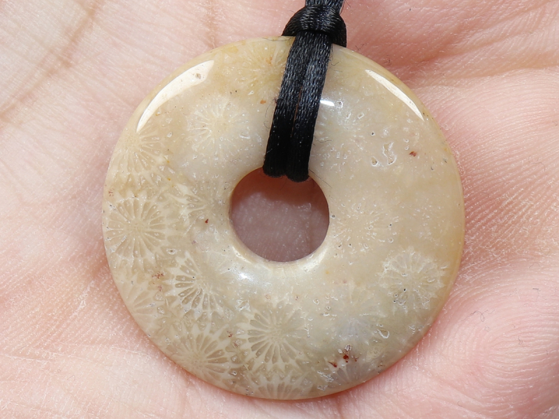 versteinerte Koralle mit Band