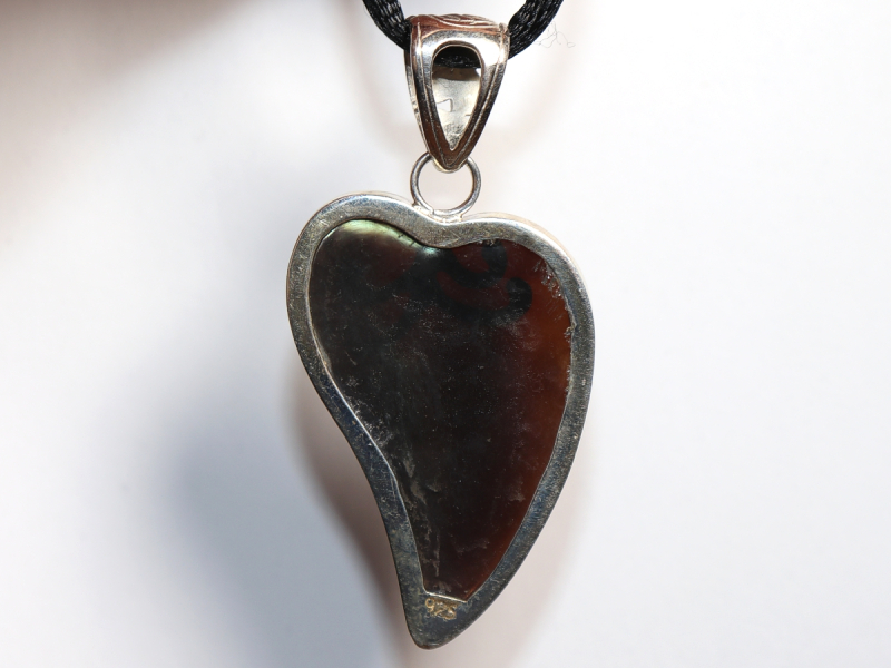 abalone shell with cord or silver 925