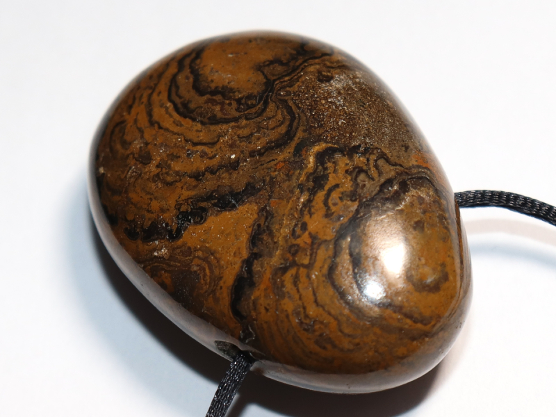 Stromatolith mit Band oder Silber 925