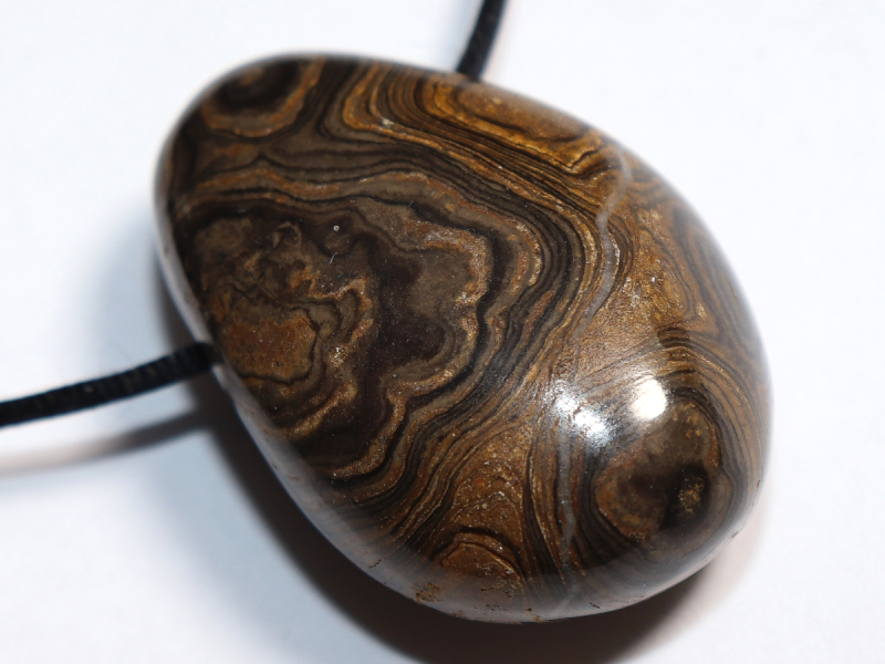 Stromatolith mit Band oder Silber 925