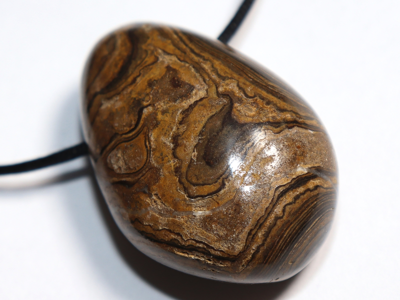 Stromatolith mit Band oder Silber 925