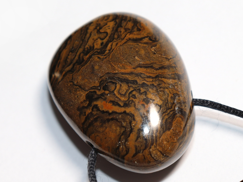 Stromatolith mit Band oder Silber 925