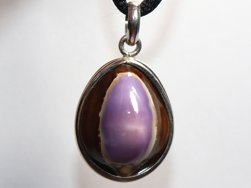 Muschel mit Band oder Silber 925