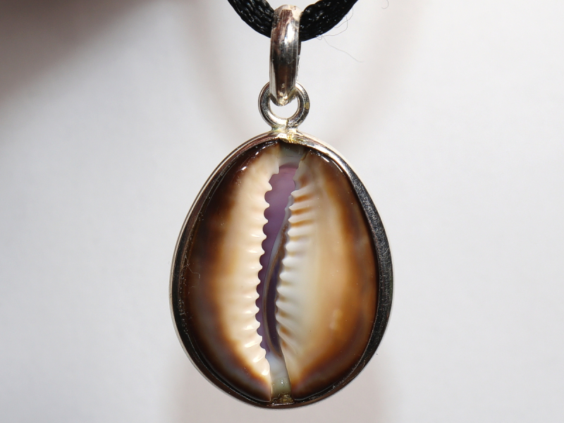 Muschel mit Band oder Silber 925