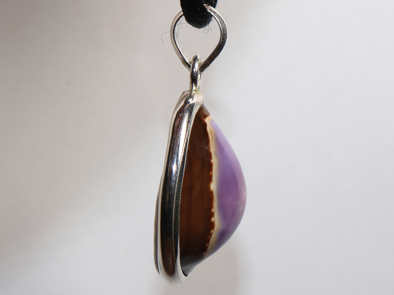 Muschel mit Band oder Silber 925