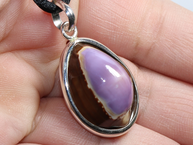 Muschel mit Band oder Silber 925