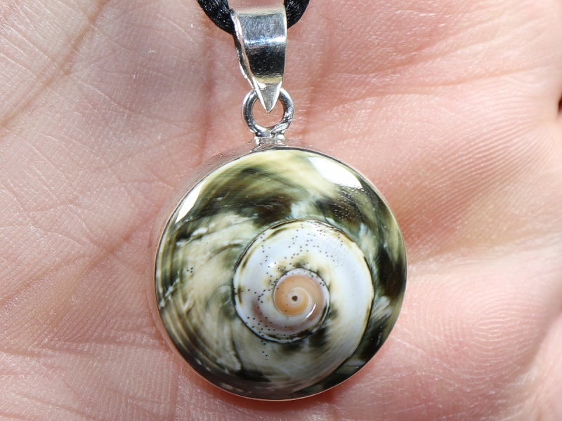 Muschel mit Band oder Silber 925