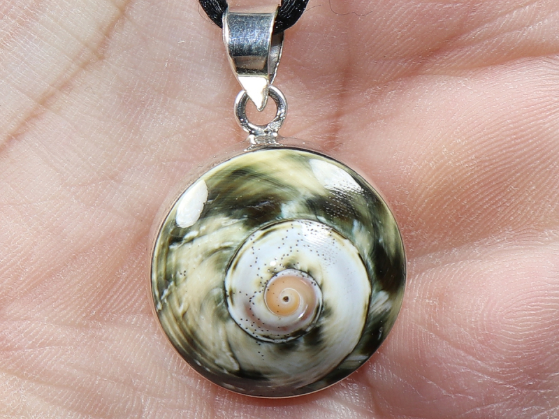 Muschel mit Band oder Silber 925