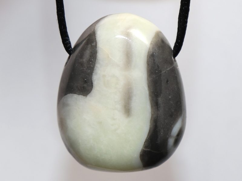 shell jasper with cord or silver 925