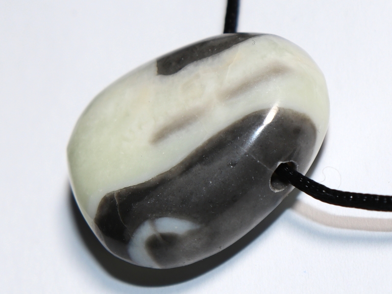 shell jasper with cord or silver 925
