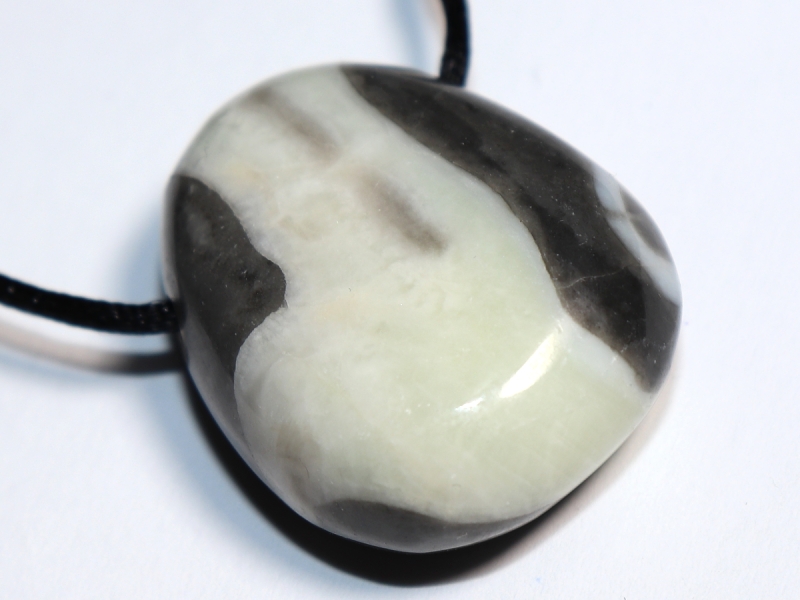 shell jasper with cord or silver 925
