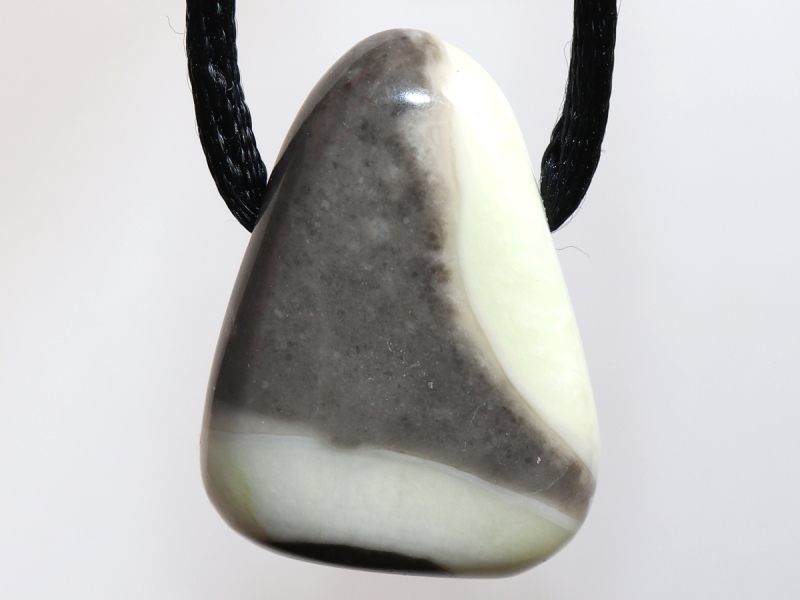 Fossilkalk mit Band oder Silber 925