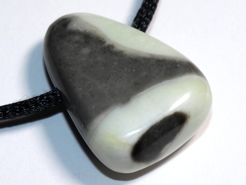 Fossilkalk mit Band oder Silber 925