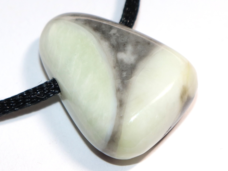 Fossilkalk mit Band oder Silber 925