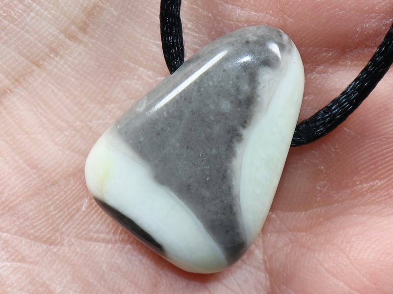 Fossilkalk mit Band oder Silber 925