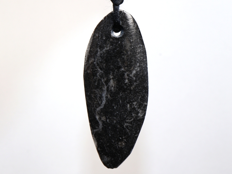 orthoceras with cord
