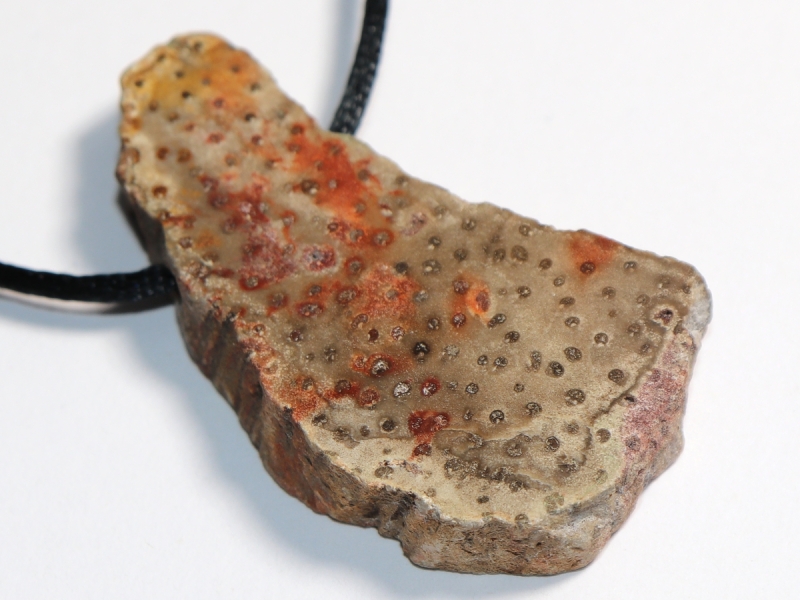 petrified wood with cord or silver 925