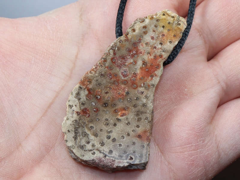 petrified wood with cord or silver 925