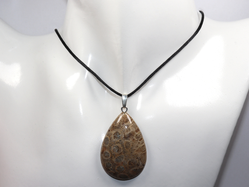 fossilized coral with cord or silver 925