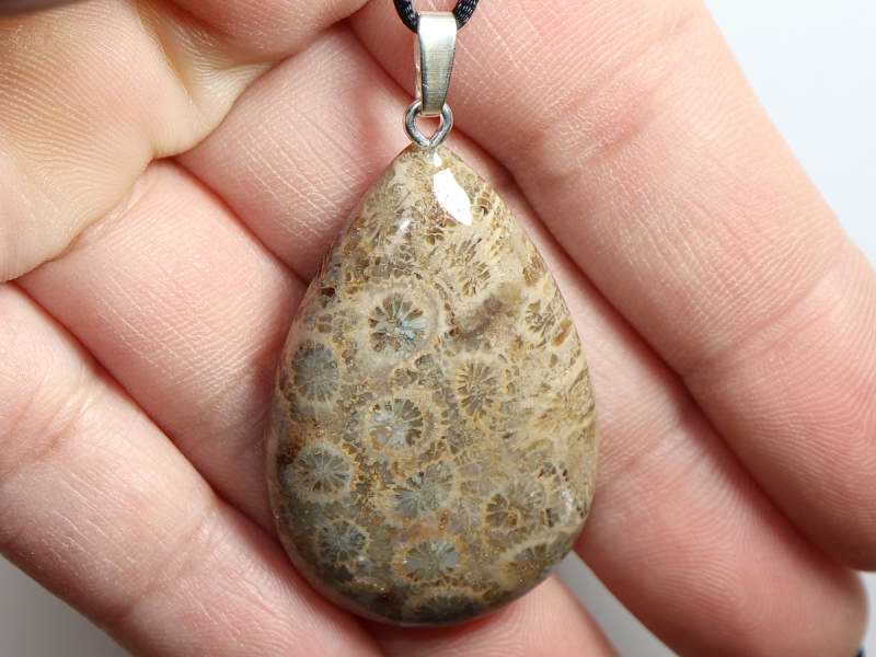 fossilized coral with cord or silver 925