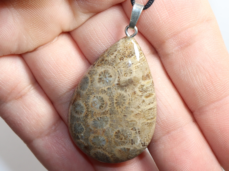 fossilized coral with cord or silver 925
