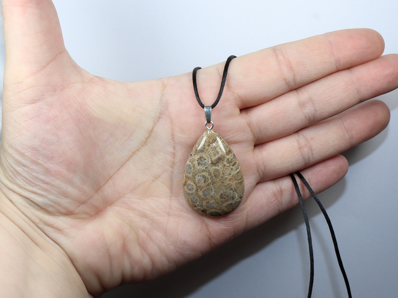 fossilized coral with cord or silver 925
