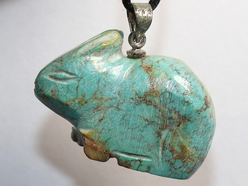 turquoise with cord or silver 925