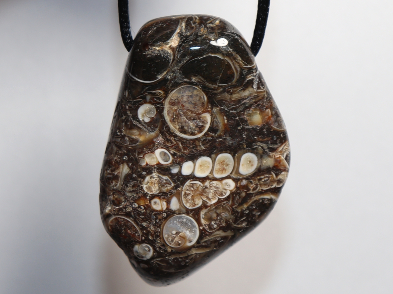 Turritella agate with cord or silver 925