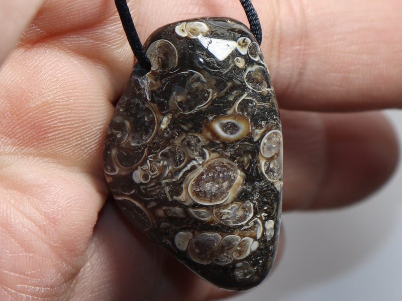 Turritella agate with cord or silver 925