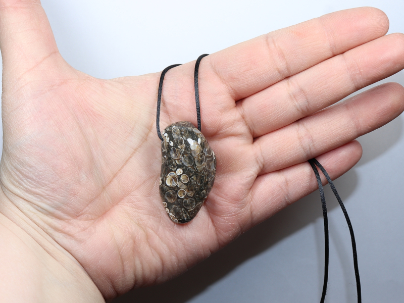Turritella agate with cord or silver 925