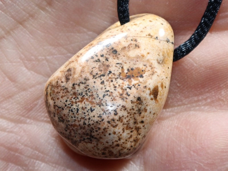 picture jasper with cord or silver 925