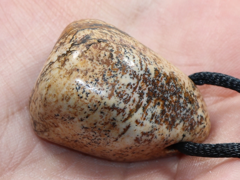 picture jasper with cord or silver 925